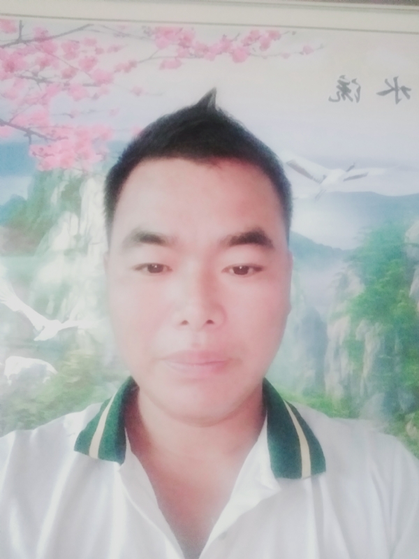 阳光男孩的第二张照片--平顶山闪婚服务中心